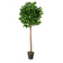 Artificial Bay Tree